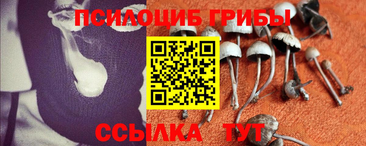 Псилоцибиновые грибы GOLDEN TEACHER Красноперекопск